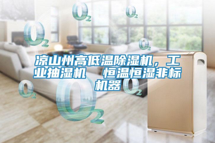 涼山州高低溫除濕機，工業(yè)抽濕機  恒溫恒濕非標機器