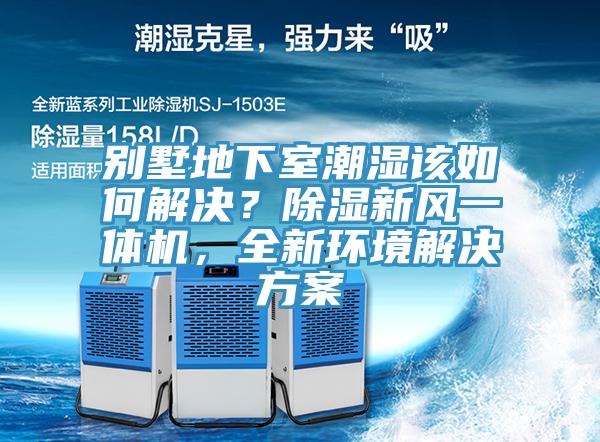 別墅地下室潮濕該如何解決？除濕新風(fēng)一體機(jī)，全新環(huán)境解決方案