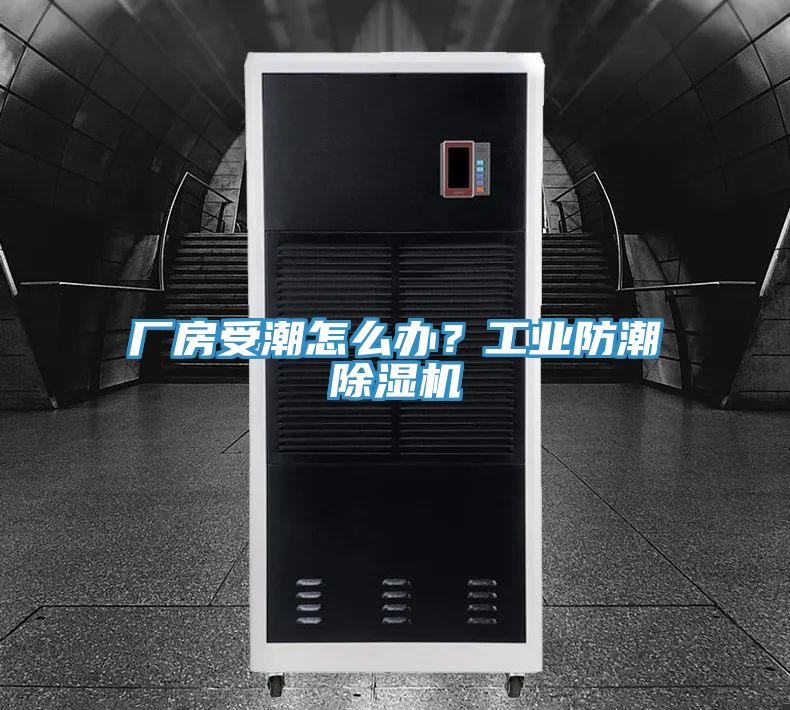 廠房受潮怎么辦？工業(yè)防潮除濕機