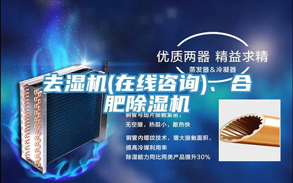 去濕機(jī)(在線咨詢)、合肥除濕機(jī)