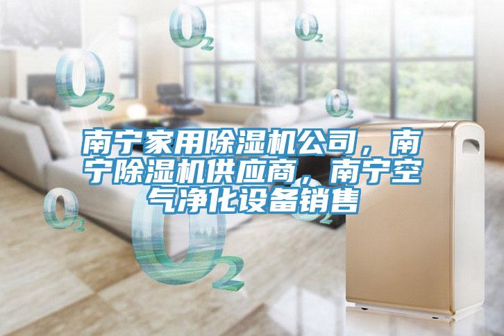 南寧家用除濕機公司，南寧除濕機供應(yīng)商，南寧空氣凈化設(shè)備銷售