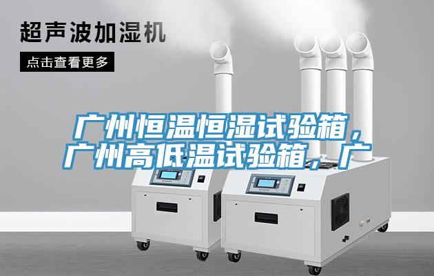 廣州恒溫恒濕試驗(yàn)箱，廣州高低溫試驗(yàn)箱，廣