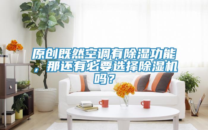 原創(chuàng)既然空調(diào)有除濕功能，那還有必要選擇除濕機嗎？