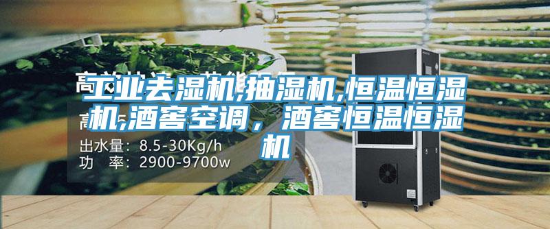 工業(yè)去濕機,抽濕機,恒溫恒濕機,酒窖空調(diào)，酒窖恒溫恒濕機