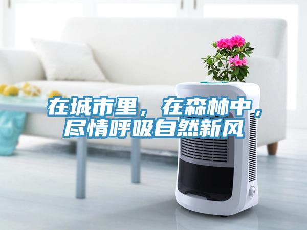 在城市里，在森林中，盡情呼吸自然新風(fēng)