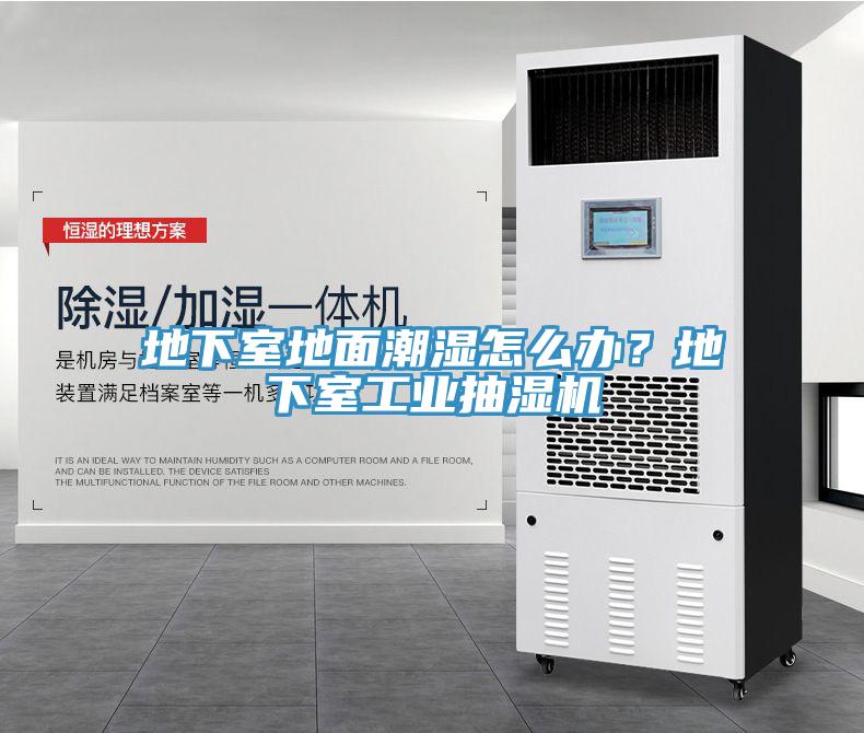 地下室地面潮濕怎么辦？地下室工業(yè)抽濕機