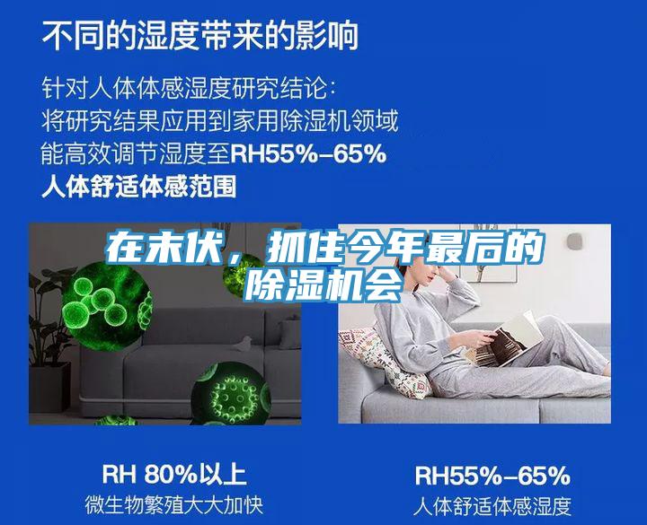 在末伏，抓住今年最后的除濕機(jī)會