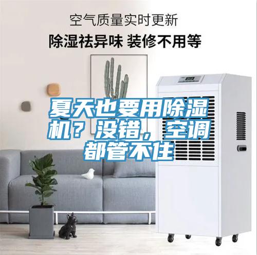 夏天也要用除濕機(jī)？沒(méi)錯(cuò)，空調(diào)都管不住