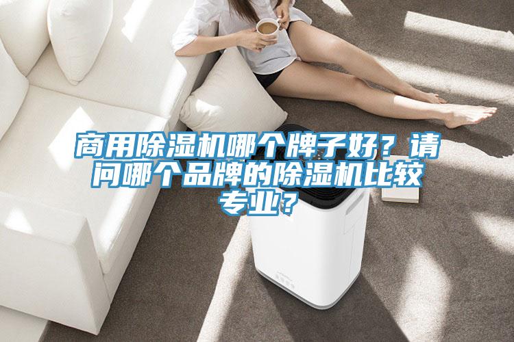 商用除濕機(jī)哪個(gè)牌子好？請(qǐng)問哪個(gè)品牌的除濕機(jī)比較專業(yè)？