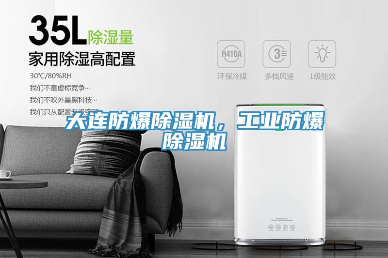 大連防爆除濕機(jī)，工業(yè)防爆除濕機(jī)