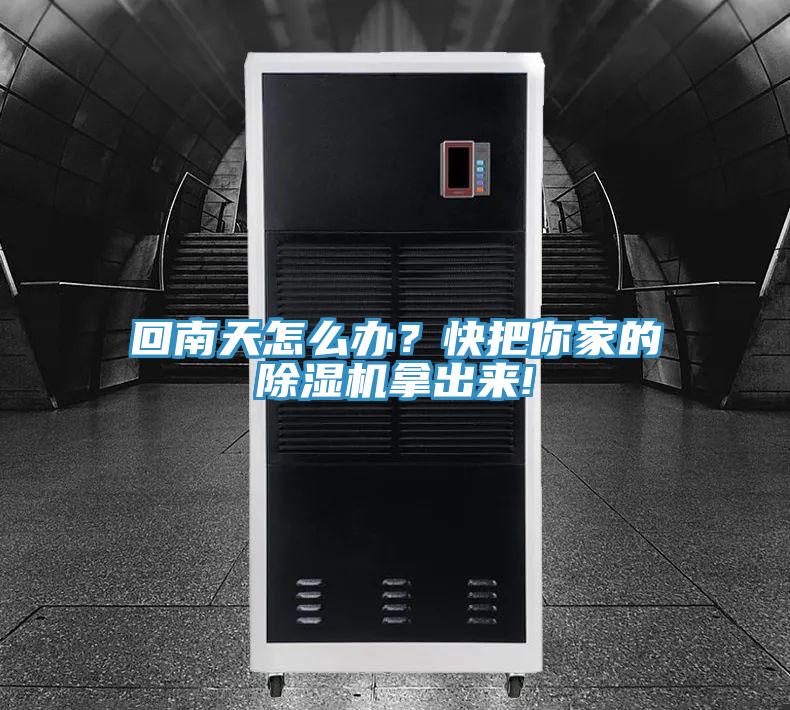 回南天怎么辦？快把你家的除濕機拿出來!
