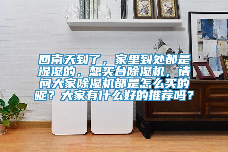 回南天到了，家里到處都是濕濕的，想買臺除濕機，請問大家除濕機都是怎么買的呢？大家有什么好的推薦嗎？