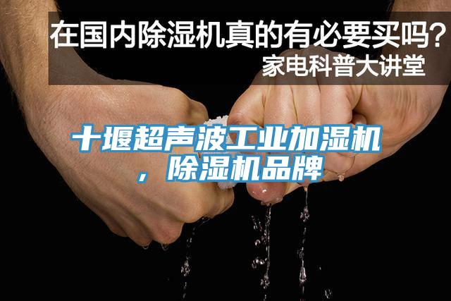 十堰超聲波工業(yè)加濕機(jī)，除濕機(jī)品牌