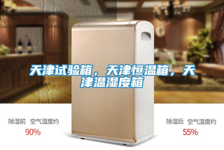 天津試驗(yàn)箱，天津恒溫箱，天津溫濕度箱