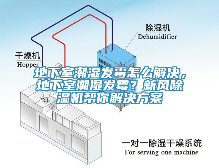 地下室潮濕發(fā)霉怎么解決，地下室潮濕發(fā)霉？新風(fēng)除濕機幫你解決方案