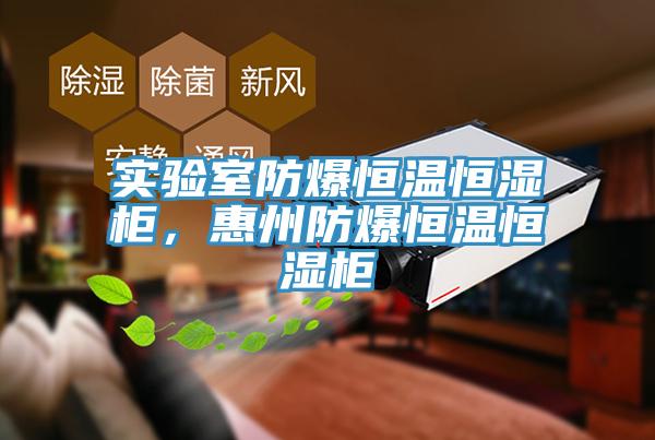 實(shí)驗(yàn)室防爆恒溫恒濕柜，惠州防爆恒溫恒濕柜