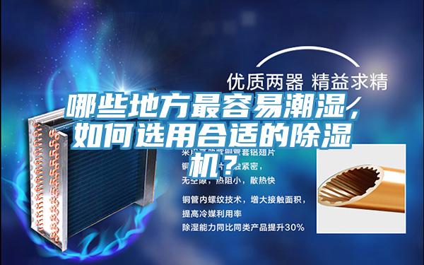 哪些地方最容易潮濕，如何選用合適的除濕機？