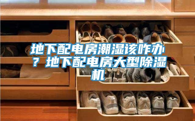 地下配電房潮濕該咋辦？地下配電房大型除濕機