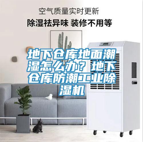 地下倉(cāng)庫(kù)地面潮濕怎么辦？地下倉(cāng)庫(kù)防潮工業(yè)除濕機(jī)