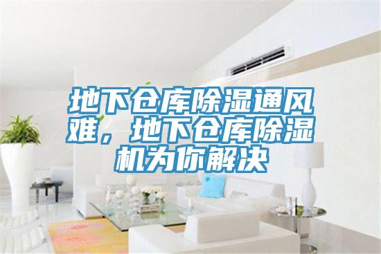 地下倉庫除濕通風(fēng)難，地下倉庫除濕機為你解決