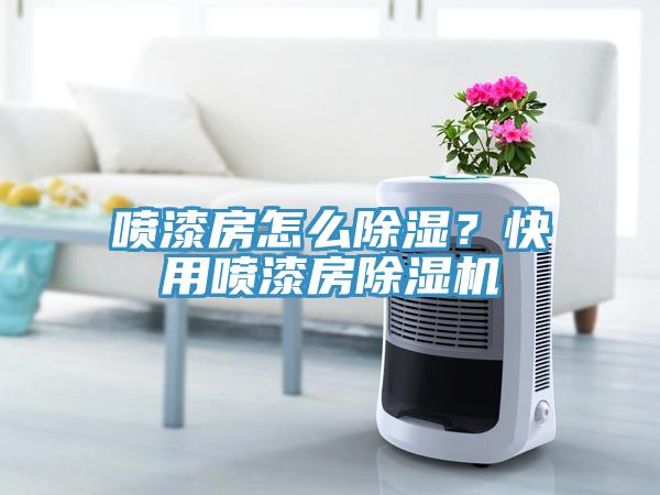 噴漆房怎么除濕？快用噴漆房除濕機