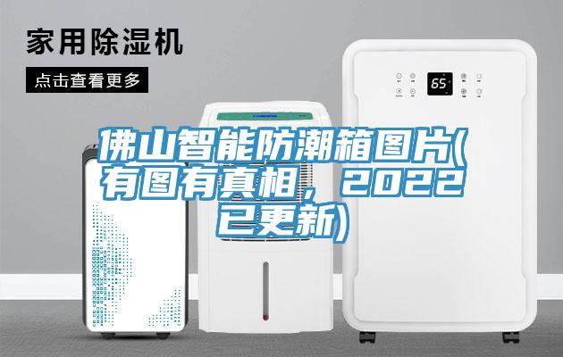佛山智能防潮箱圖片(有圖有真相，2022已更新)