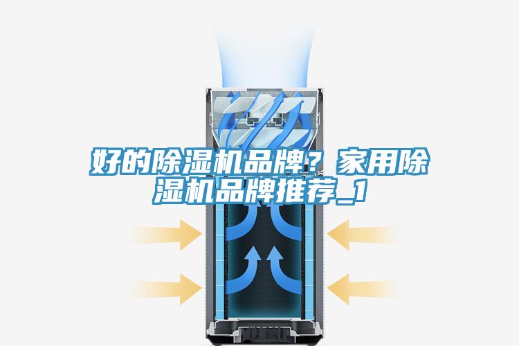 好的除濕機(jī)品牌？家用除濕機(jī)品牌推薦_1