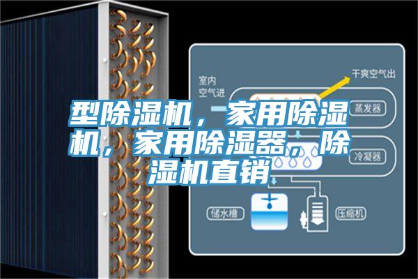 型除濕機(jī)，家用除濕機(jī)，家用除濕器，除濕機(jī)直銷