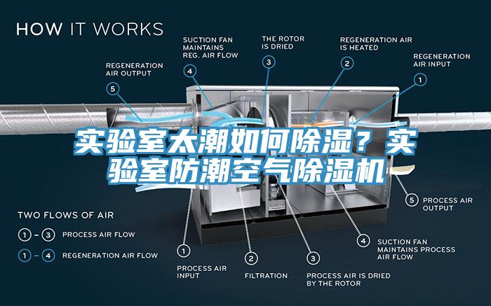 實(shí)驗(yàn)室太潮如何除濕？實(shí)驗(yàn)室防潮空氣除濕機(jī)
