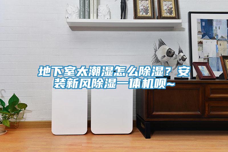 地下室太潮濕怎么除濕？安裝新風(fēng)除濕一體機(jī)唄~