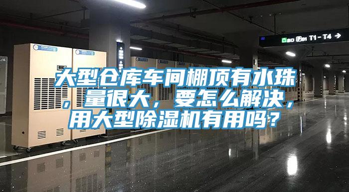 大型倉(cāng)庫(kù)車(chē)間棚頂有水珠，量很大，要怎么解決，用大型除濕機(jī)有用嗎？