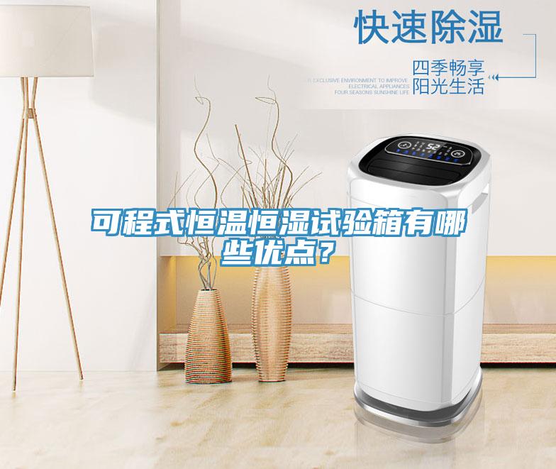 可程式恒溫恒濕試驗箱有哪些優(yōu)點？