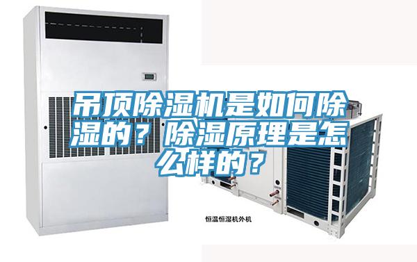 吊頂除濕機是如何除濕的？除濕原理是怎么樣的？