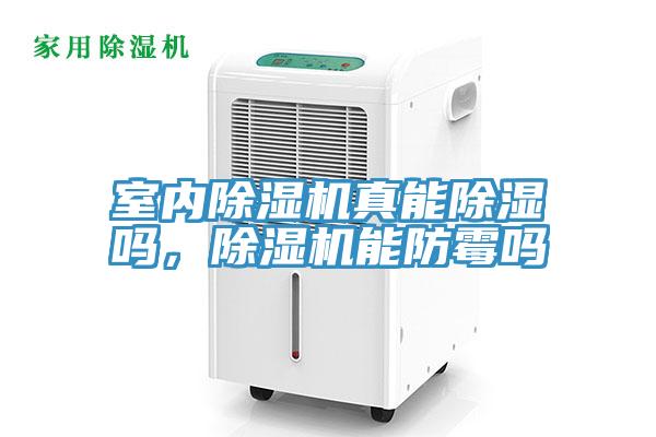 室內(nèi)除濕機真能除濕嗎，除濕機能防霉嗎