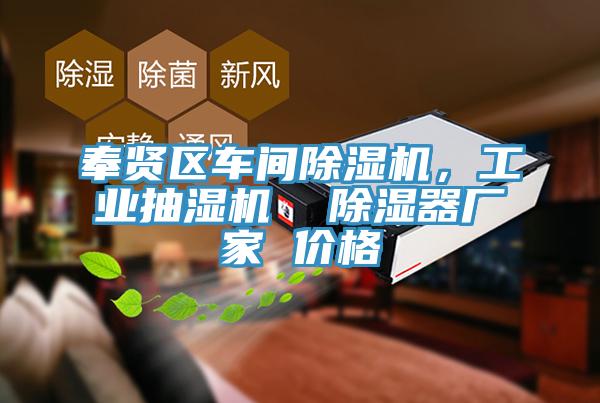 奉賢區(qū)車間除濕機(jī)，工業(yè)抽濕機(jī)  除濕器廠家 價(jià)格