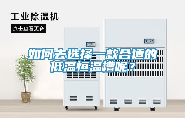 如何去選擇一款合適的低溫恒溫槽呢？