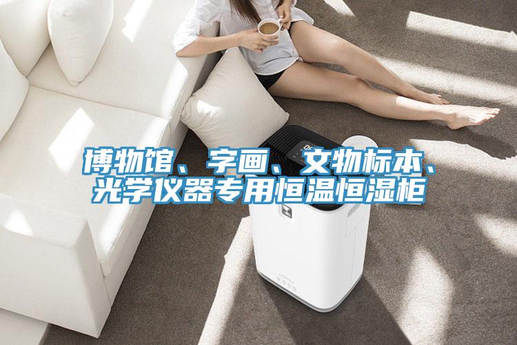 博物館、字畫、文物標本、光學儀器專用恒溫恒濕柜