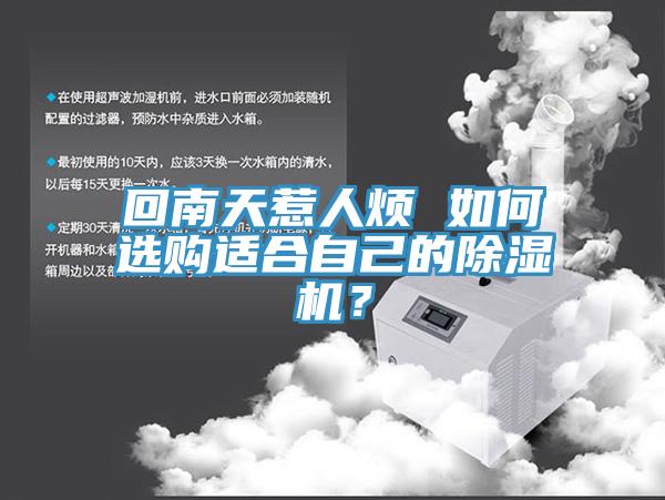 回南天惹人煩 如何選購適合自己的除濕機？