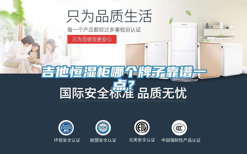 吉他恒濕柜哪個(gè)牌子靠譜一點(diǎn)？