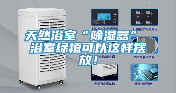 天然浴室“除濕器” 浴室綠植可以這樣擺放！