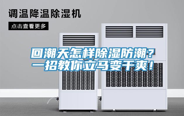 回潮天怎樣除濕防潮？一招教你立馬變干爽！