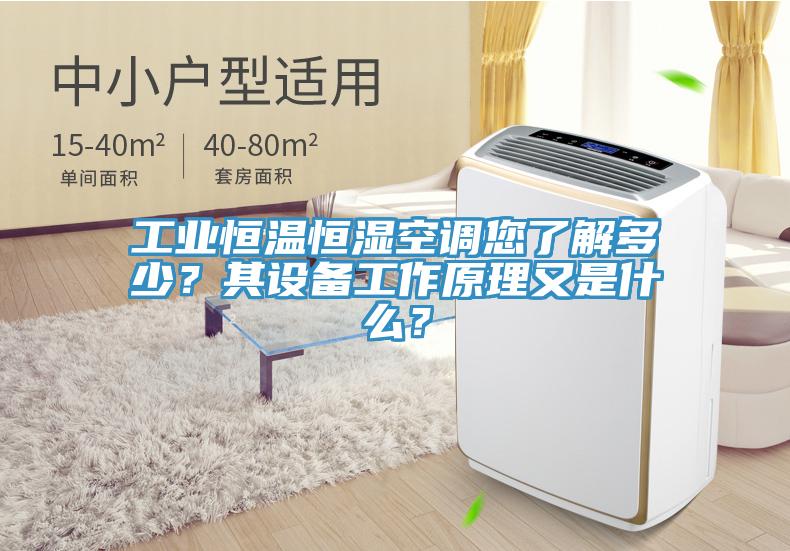 工業(yè)恒溫恒濕空調您了解多少？其設備工作原理又是什么？