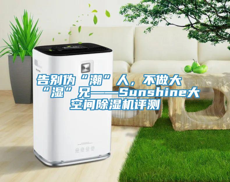 告別偽“潮”人，不做大“濕”兄——Sunshine大空間除濕機評測
