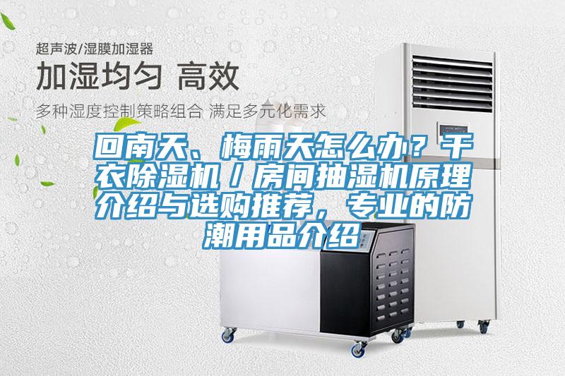 回南天、梅雨天怎么辦？干衣除濕機／房間抽濕機原理介紹與選購推薦，專業(yè)的防潮用品介紹
