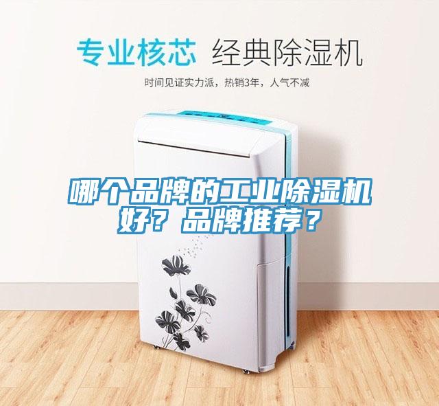 哪個(gè)品牌的工業(yè)除濕機(jī)好？品牌推薦？