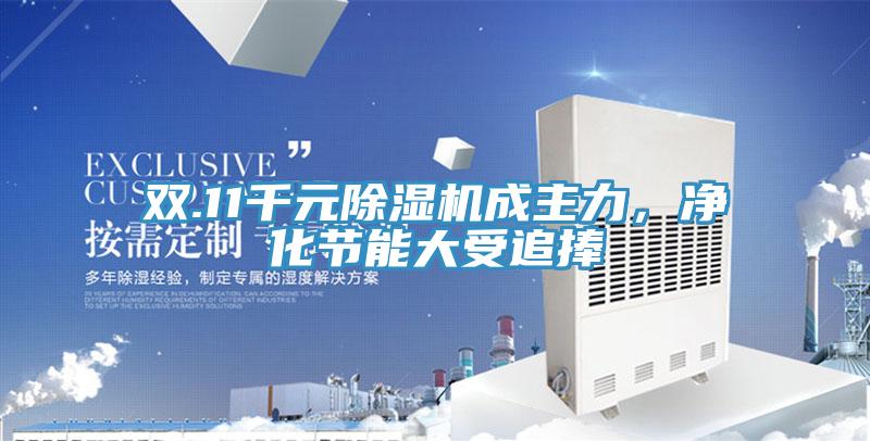雙.11千元除濕機成主力，凈化節(jié)能大受追捧