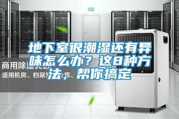 地下室很潮濕還有異味怎么辦？這8種方法，幫你搞定
