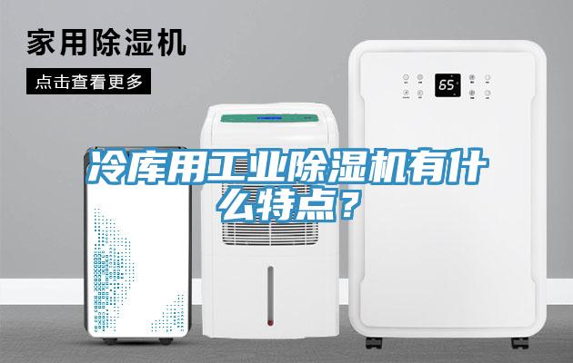 冷庫用工業(yè)除濕機(jī)有什么特點(diǎn)？