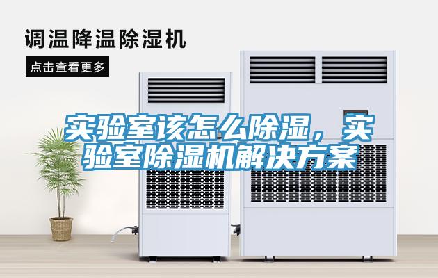 實(shí)驗(yàn)室該怎么除濕，實(shí)驗(yàn)室除濕機(jī)解決方案