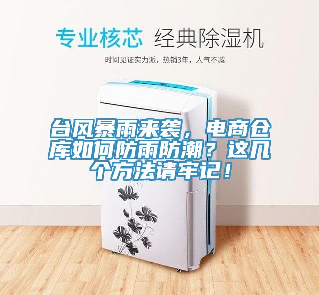 臺(tái)風(fēng)暴雨來(lái)襲，電商倉(cāng)庫(kù)如何防雨防潮？這幾個(gè)方法請(qǐng)牢記！